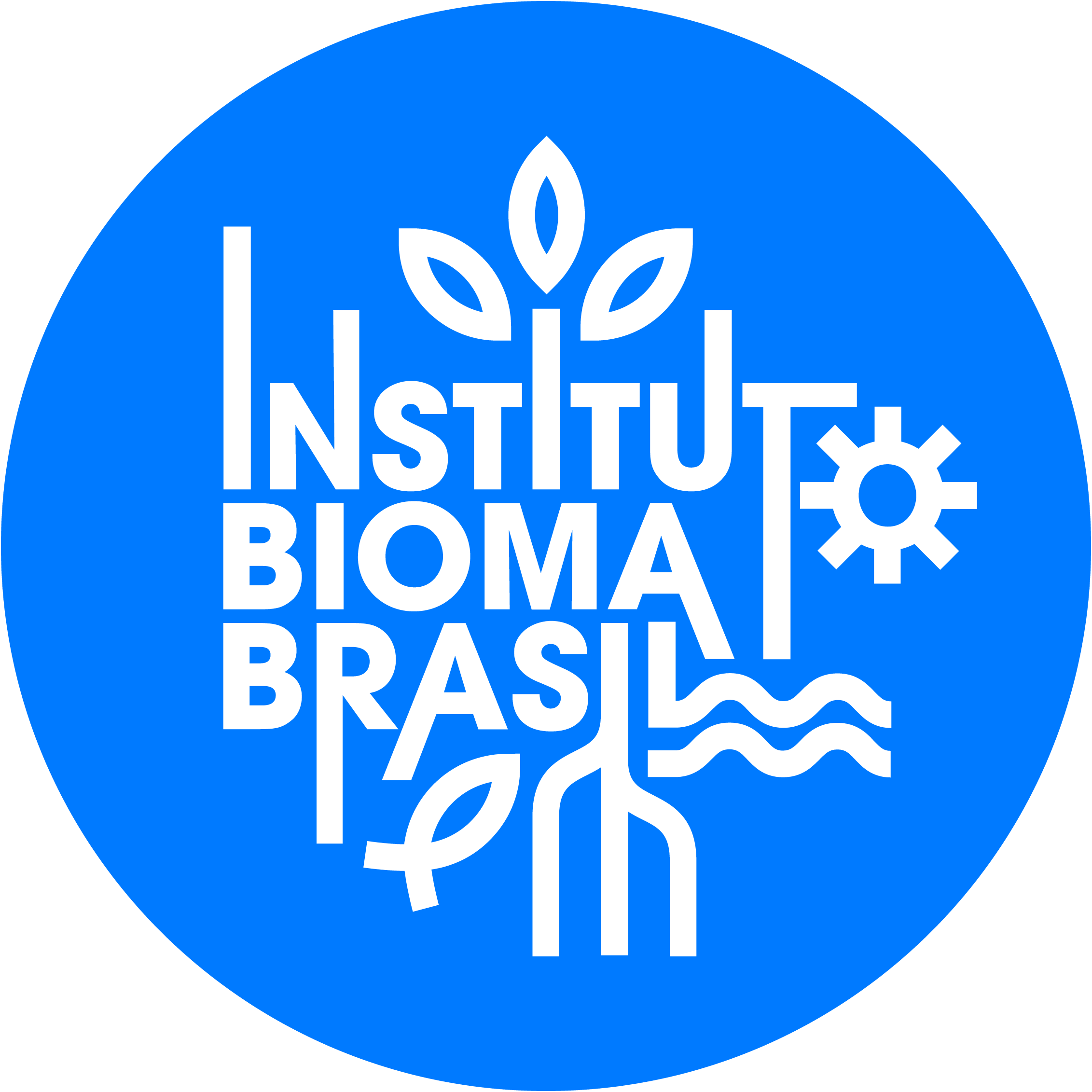 Logo IBB