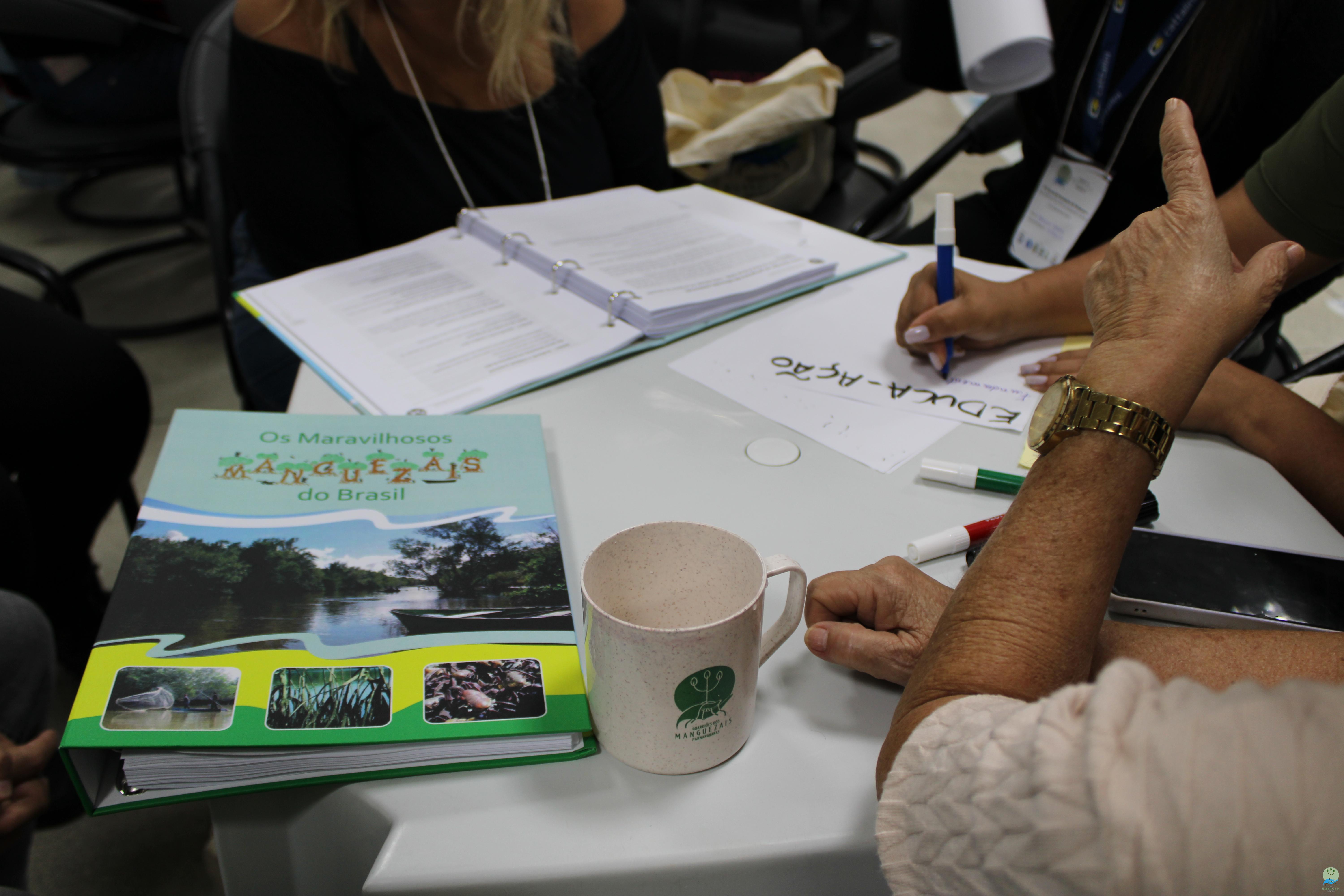 Curso de formação de professores para o Guia Didático Maravilhosos Manguezais do Brasil 2025